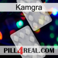 Kamgra 17